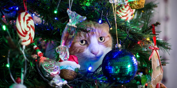 Half christmas tree asda Clearance