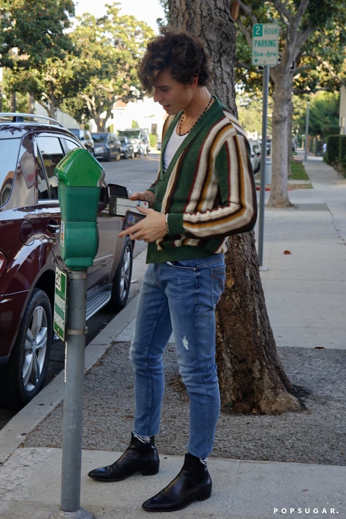 Shawn Mendes With Camila Cabello in a Green Striped Cardigan