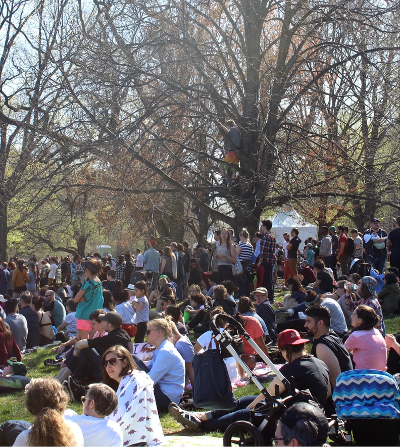 Bernie Sanders Rally in Prospect Park, Brooklyn | POPSUGAR News