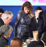 7 Dresses That Are Just as Elegant as Melania Trump's Sheer Gown