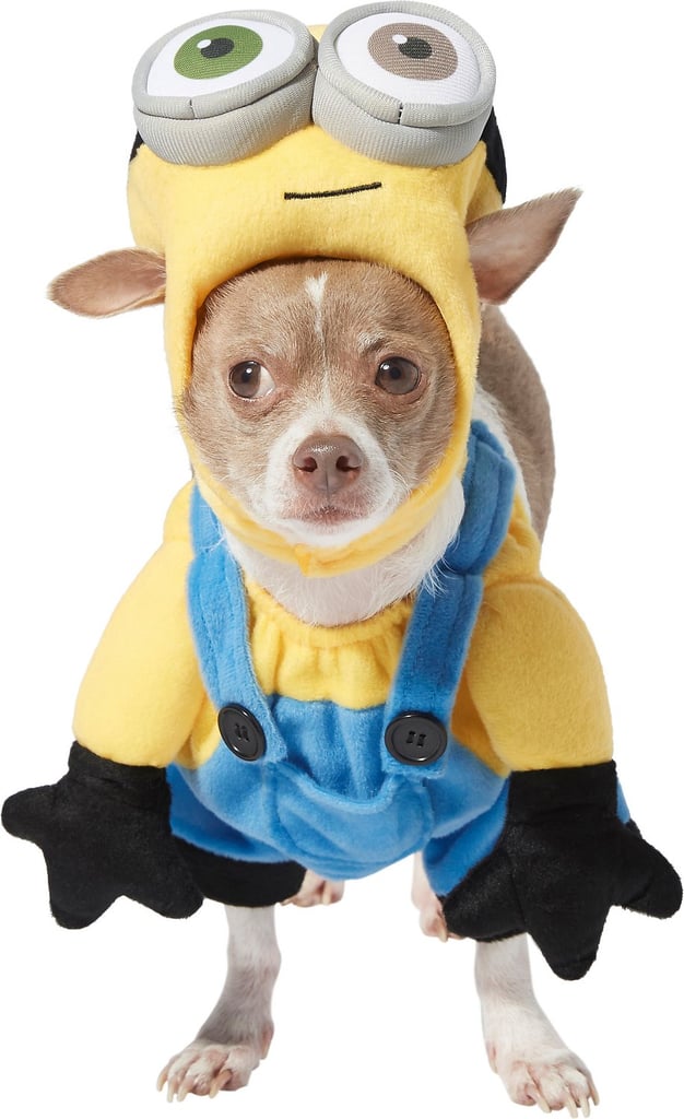 Rubie's Costume Company Minion Bob Dog Costume