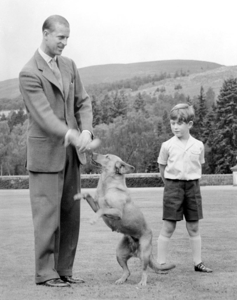 Photos of Prince Charles With Animals