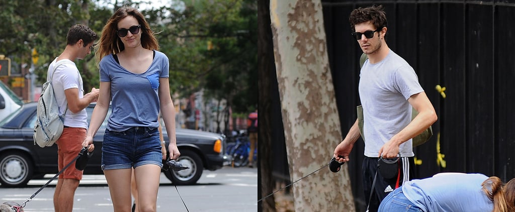 Leighton Meester and Adam Brody Walking Their Dogs in July