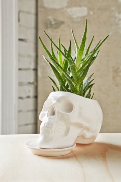 Outliving Ceramic Skull Planter