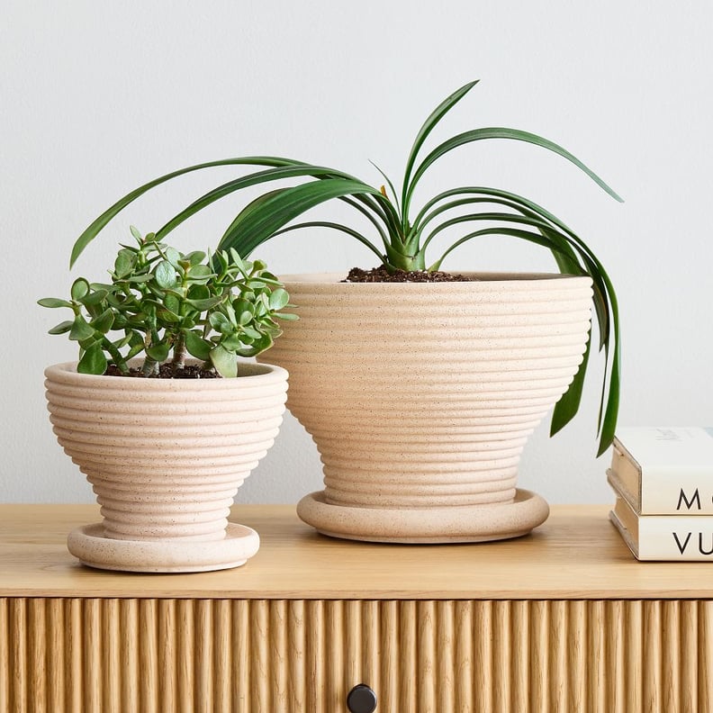 Pretty Planters: West Elm Mara Hoffman Planters