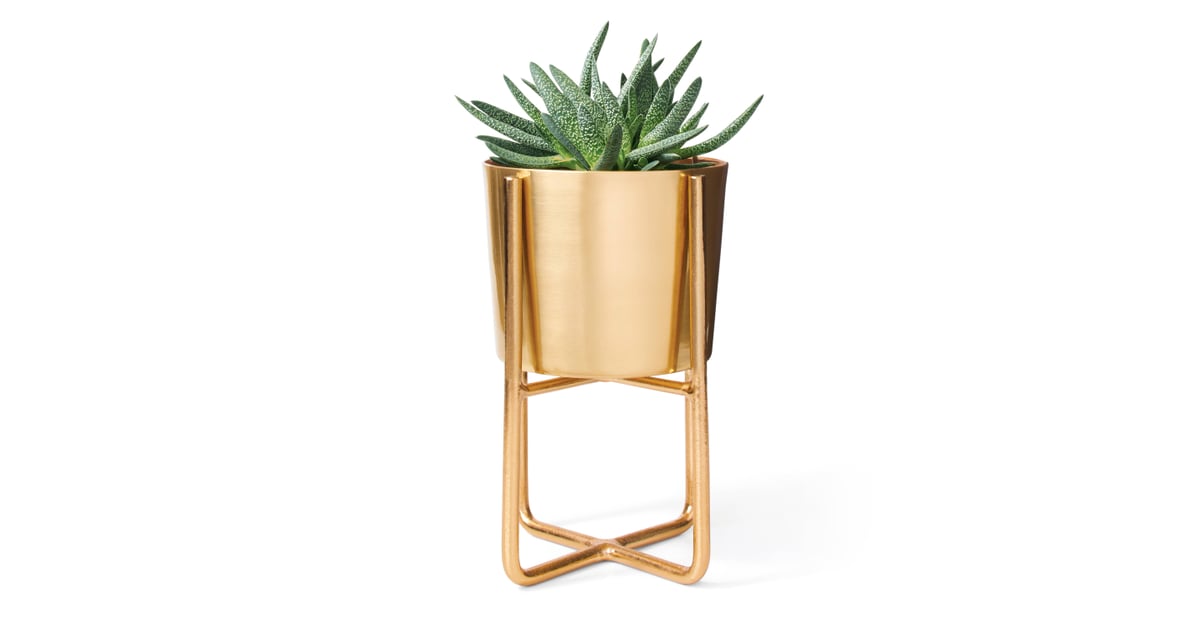 Gold Planter Target Project 62 Fall 2017 POPSUGAR Home Photo 6