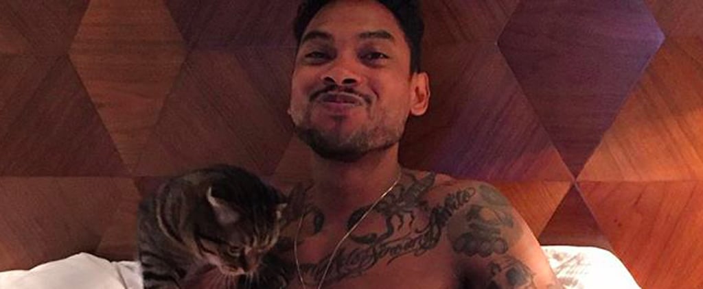 Miguel's Cats | Pictures