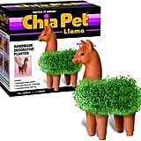 anzone space capsule backpack