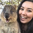 You Can Take Selfies With Friendly Quokkas on This Island, and We're Already Booking Flights