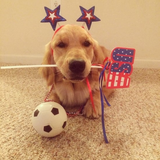 Instagram Dogs Represent World Cup