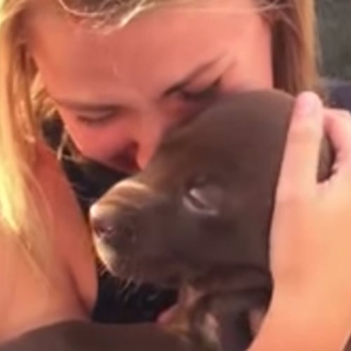 Guy Proposes to Girlfriend With a Puppy