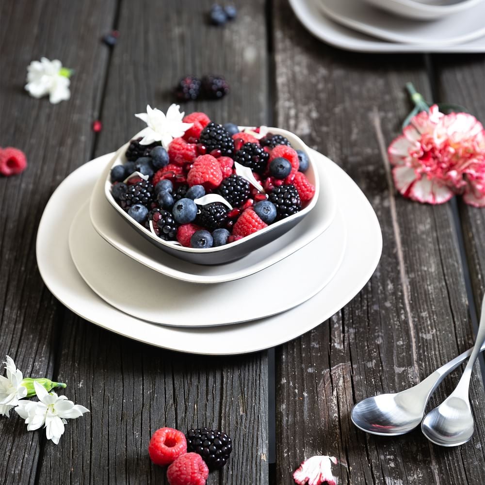 West Elm Bamboozle Dinner Plates