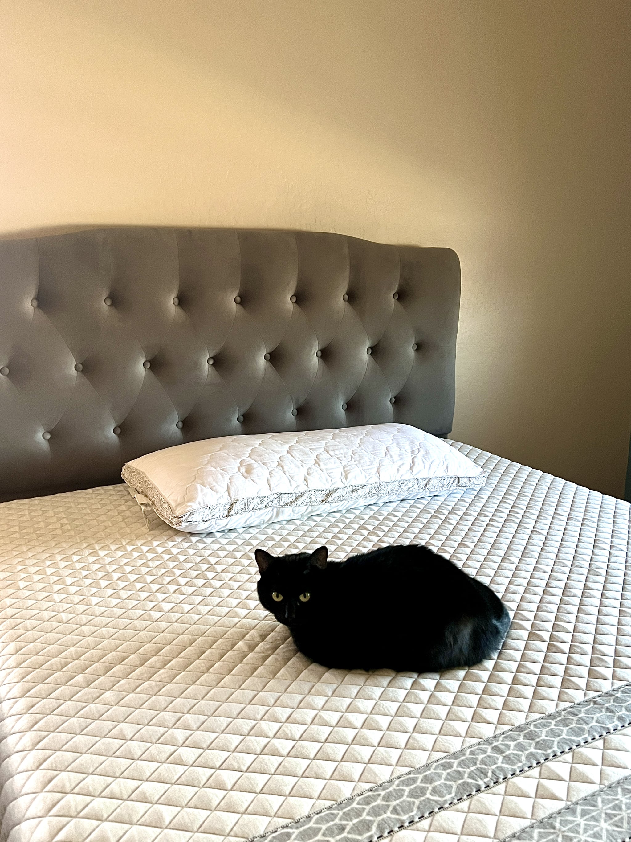leesa sapira hybrid mattress in a bedroom