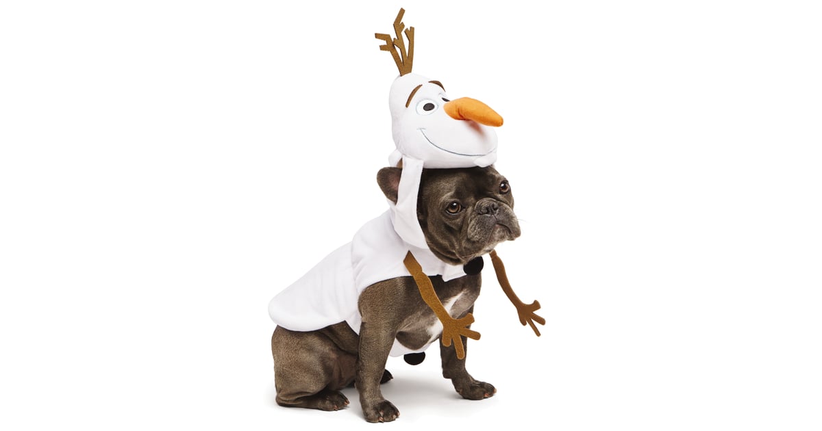 Olaf Disney Dog Costumes POPSUGAR Pets Photo 8