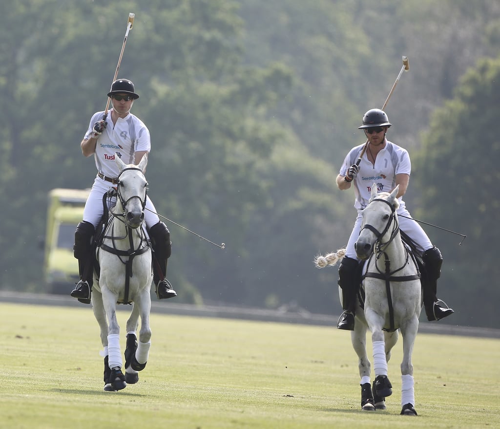 Prince William and Harry at The Audi Polo Challenge May 2016
