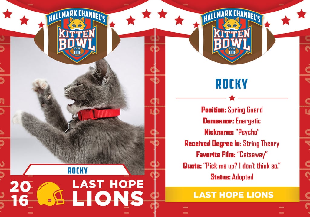 Kitten Bowl 2016