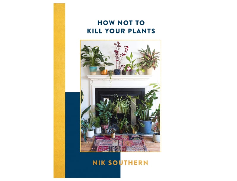 How Not to Kill Your Plants