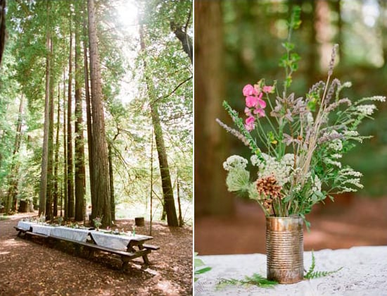 Picnic Among the Trees Picnic Among the Trees