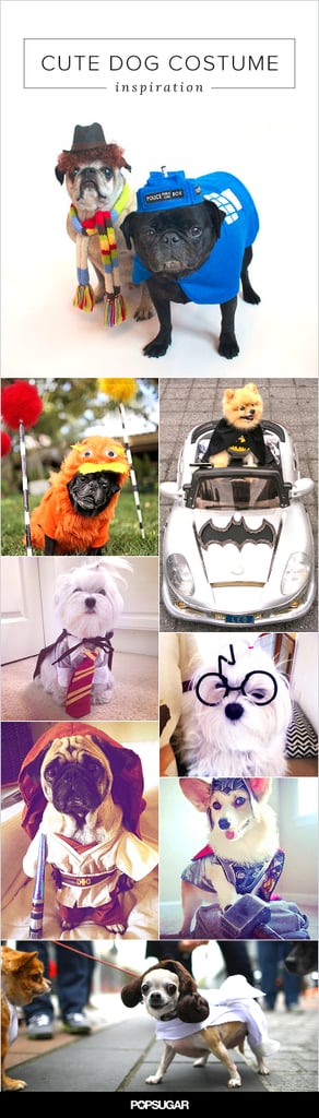 Creative Dog Costumes