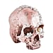 Bejeweled Halloween Skull Decoration From Pier 1