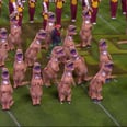 Hold on to Your Butts: This Viral Jurassic Park Halftime Routine Is So Damn Good