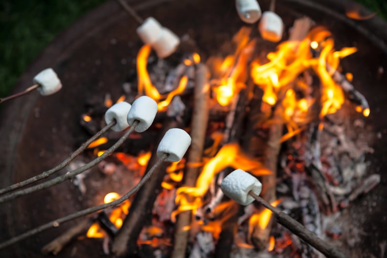 Roasting Marshmallows Over a Campfire