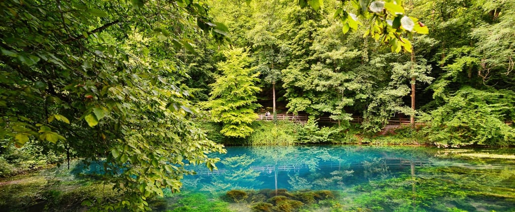 The Best Nature Videos on TikTok to Fuel Your Wanderlust