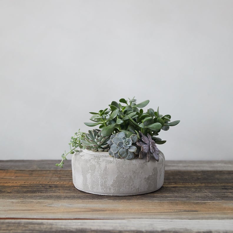 Sanded Terracotta Bowl