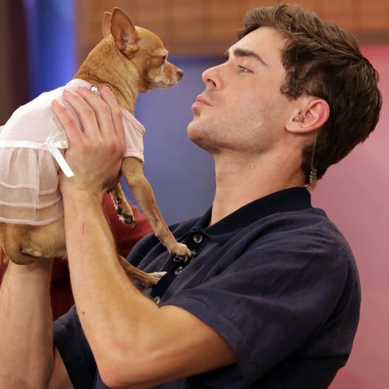 Zac Efron's Evolution in Hot Pictures and GIFs
