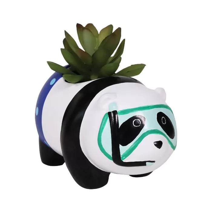 Character Succulent Panda