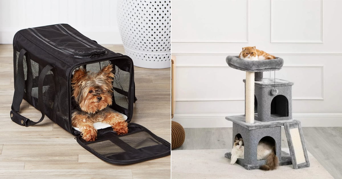 The Best Deals From Amazon’s Pet Day Sale