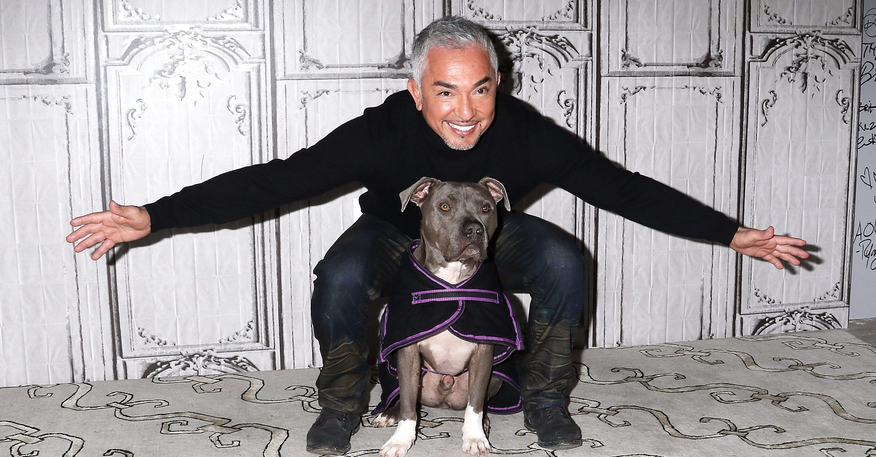 Cesar Millan s Favorite Movie Pets POPSUGAR Pets
