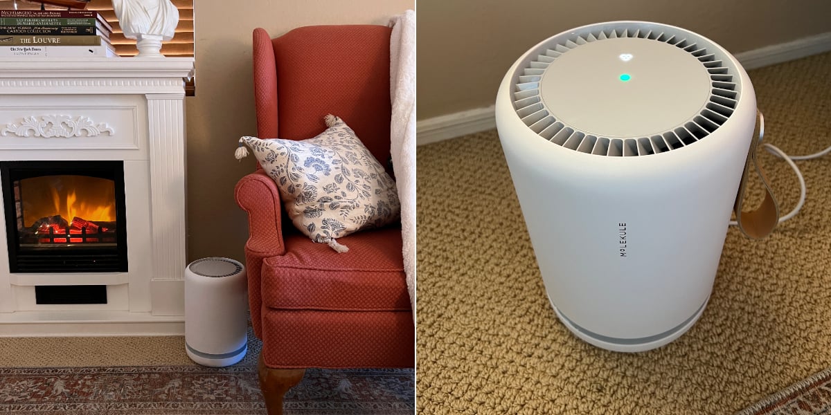 Reviews of top molekule air purifier