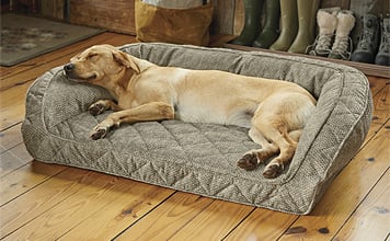 Orvis Memory Foam Bolster Dog Beds