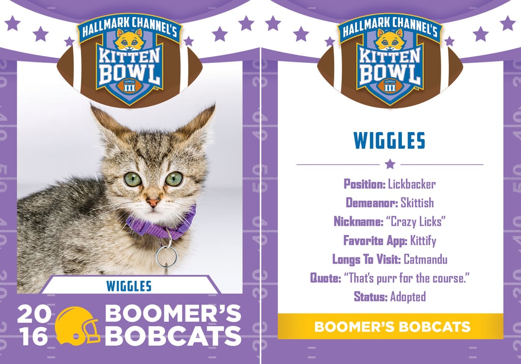 Kitten Bowl 2016