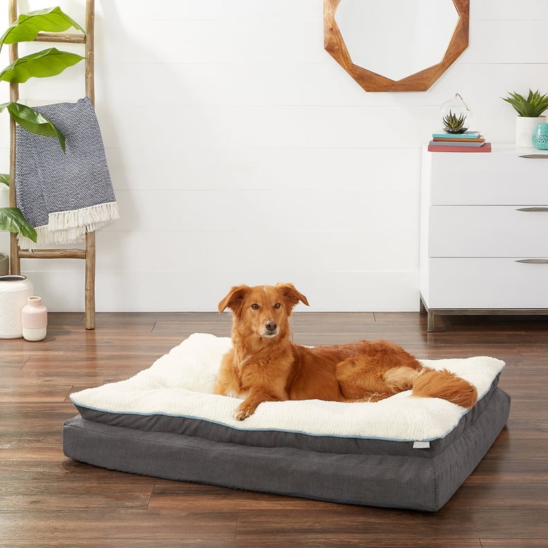 Frisco Plush Orthopedic Pillowtop Dog Bed