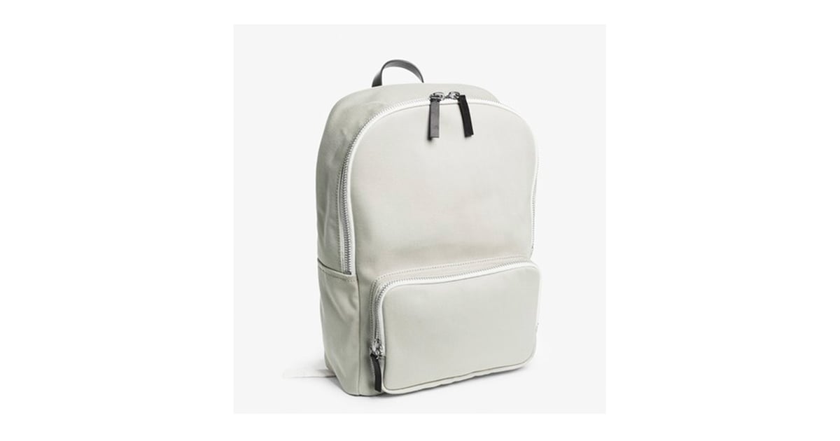 everlane mini backpack