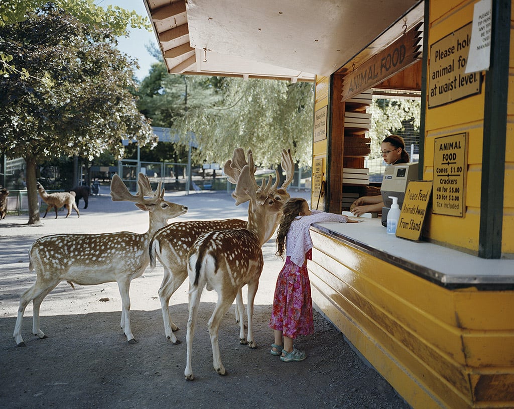 Robin Schwartz, Deerline, 2005, from Amelia and the Animals (Aperture, 2014)
