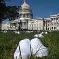 Nurses Honor Fallen Peers in Demonstration on Capitol Lawn: "Is My Life Not Worth Protecting?"