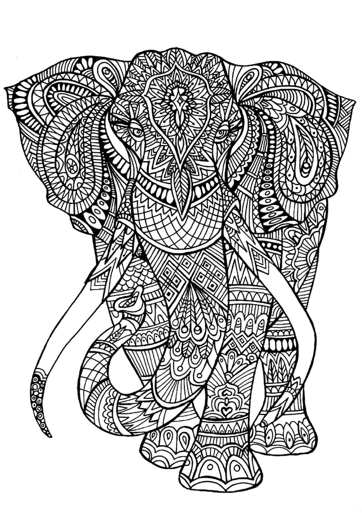 Get the coloring page: Elephant | Free Printable Adult ...