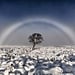 What Is a White Rainbow?
