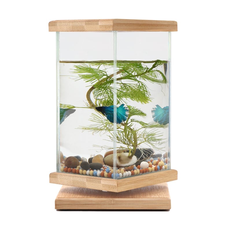 360 Bamboo Fish Tank