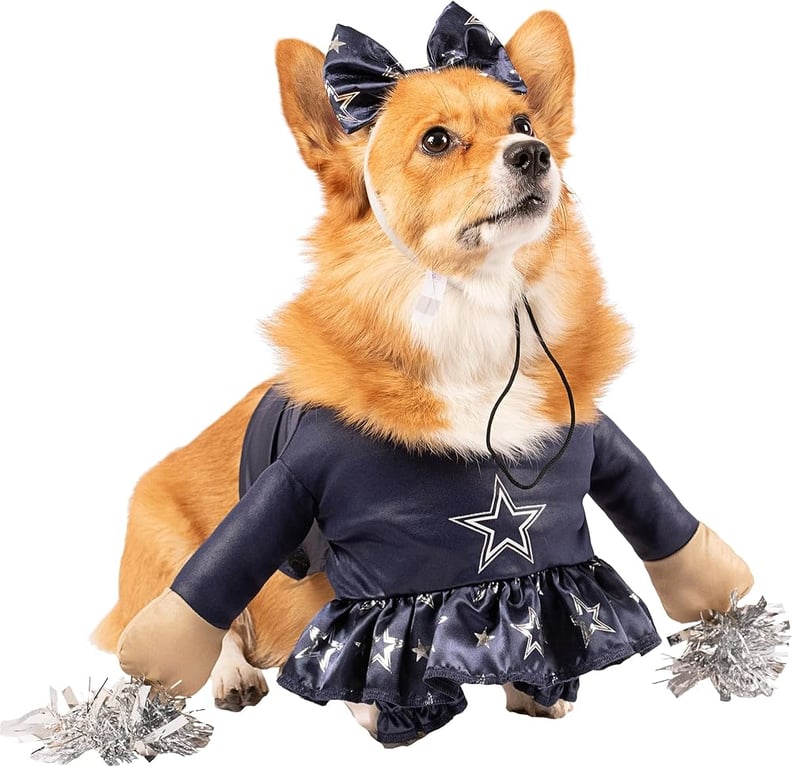Best Dallas Cowboy Cheerleader Halloween Costume For Pets
