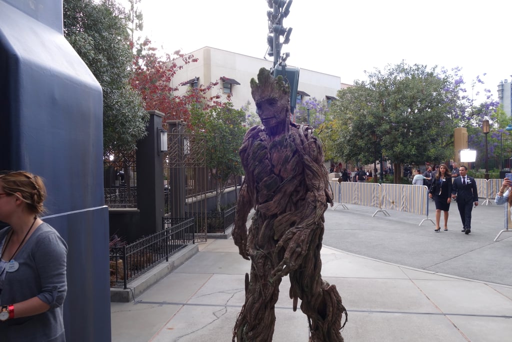 Well, well, well, who did I run into on the way out of the attraction? Groot! He's appearing at Disney's California Adventure this Summer, so prepare your Snapchat filters for best-ever selfies.
