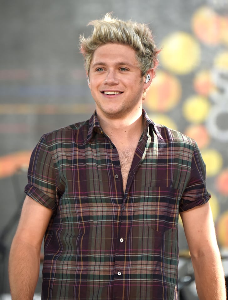 Niall Horan With Brown Hair | Winter 2016 | POPSUGAR Beauty