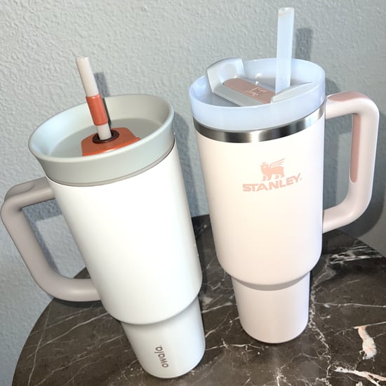 Stanley Tumbler vs. the Owala Tumbler Review