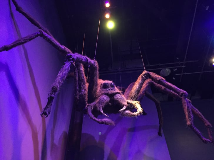 "Why spiders? Why couldn't it be 'follow the butterflies?'" Harry Potter Studio Tour in London