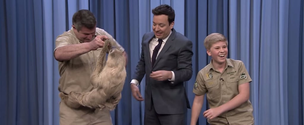 Robert Irwin on The Tonight Show February 2017