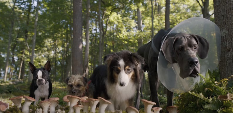 Sleeping Dogs - Story Trailer (UK) 
