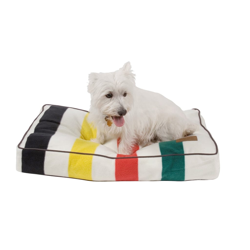 Montana Adventurer Dog Bed